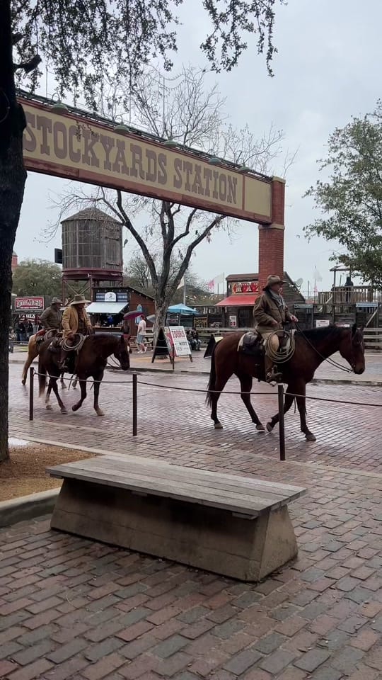 Post 8 by Rose | Dallas Content Creator on TikTok (video)