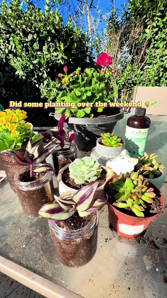 Post 3 by Christy Rodriguez on TikTok (video)