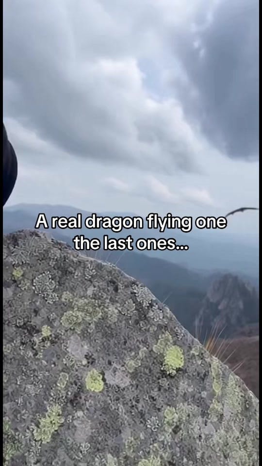 Post 4 by Mystery AI Man on TikTok (video)