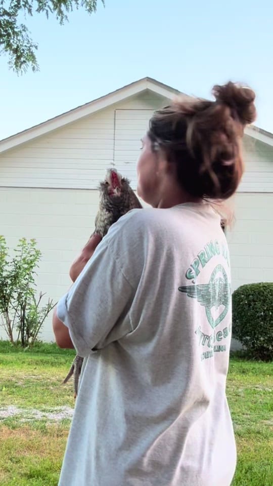Post 8 by Rebecca Litsinger on TikTok (video)