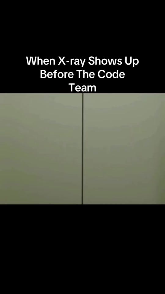 Post 1 by Pero’s Antics on TikTok (video)