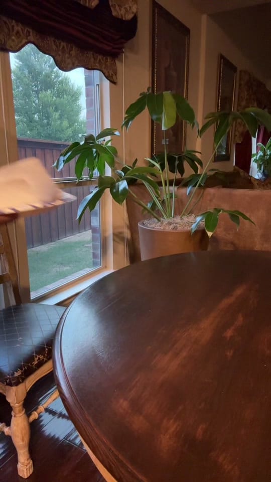 Post 8 by Pero’s Antics on TikTok (video)