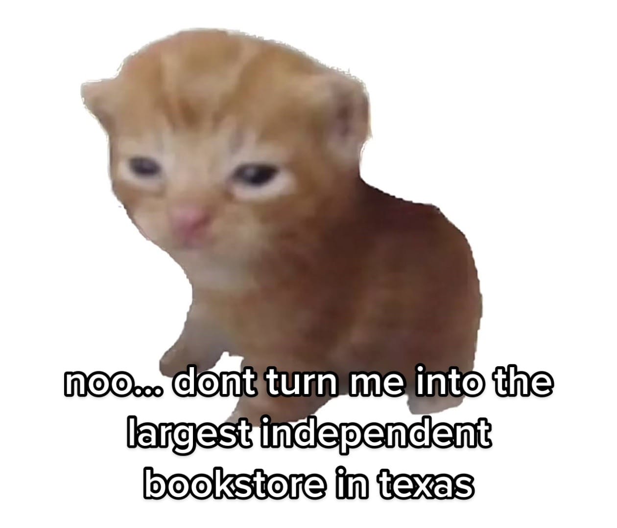 Post 10 by BookPeople on TikTok (video)