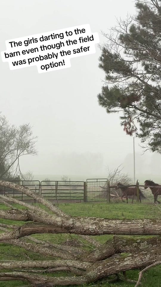Post 6 by Jodi 🤘🏼⭐️💓 on TikTok (video)