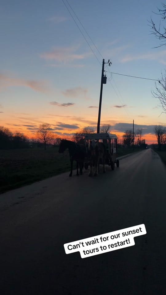 Post 3 by Jodi 🤘🏼⭐️💓 on TikTok (video)