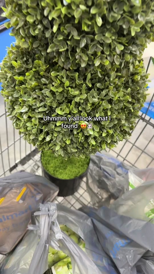 Post 5 by ✨ Keishaaa ✨ on TikTok (video)