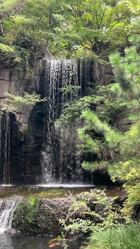 Post 5 by yazdotcom on TikTok (video)