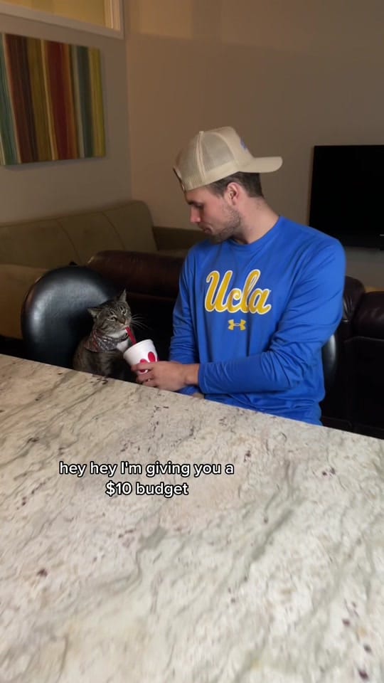 Post 9 by Austin Friesen on TikTok (video)