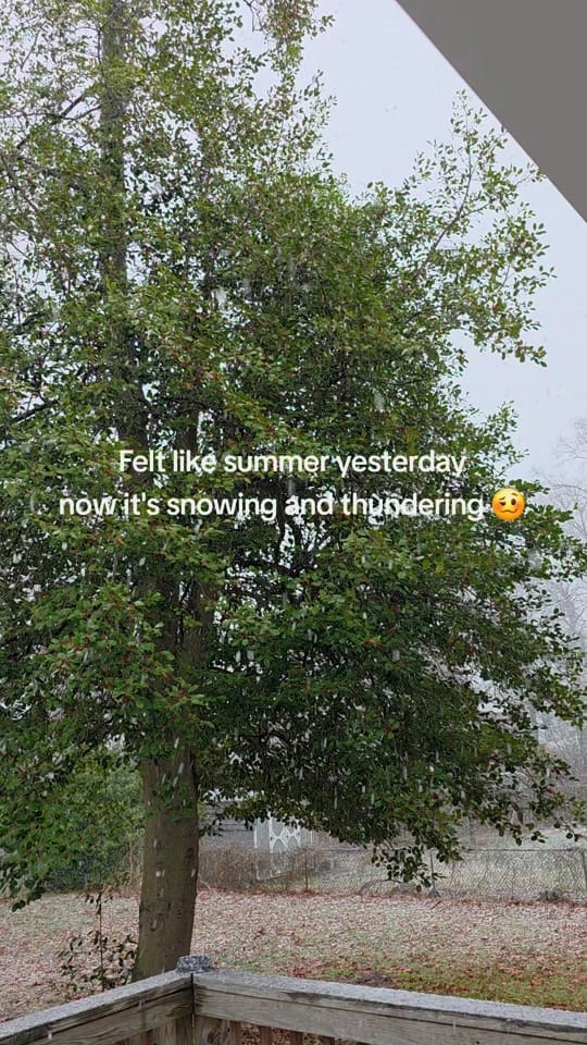 Post 4 by Britters♡ on TikTok (video)