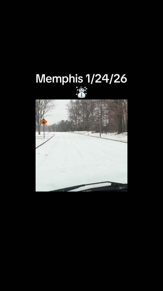 Post 6 by The Resistance Brand on TikTok (video)