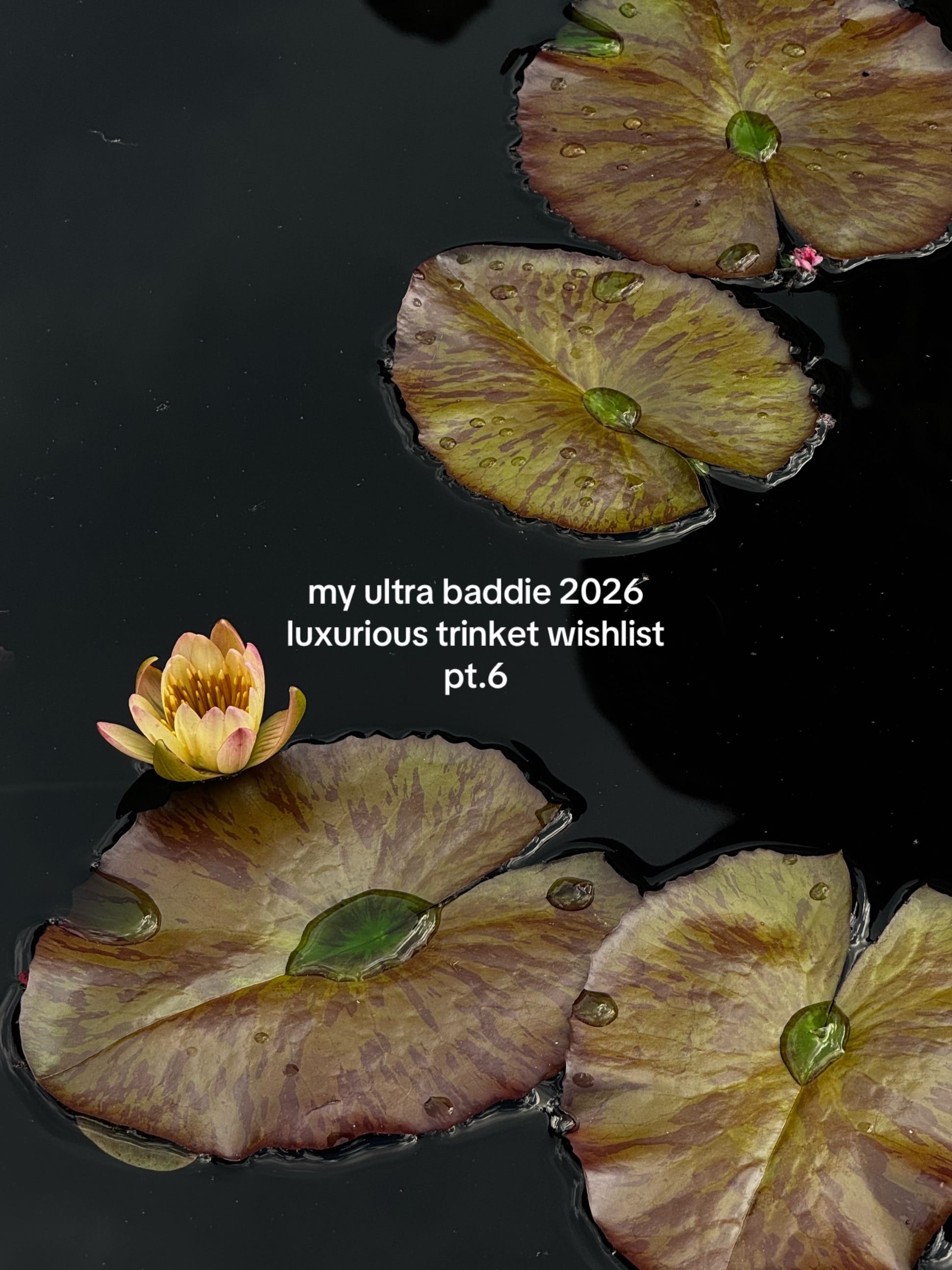 Post 1 by polly sekacheva on TikTok (video)