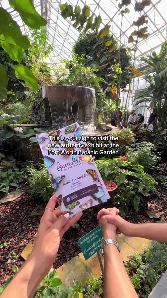 Post 6 by Denisse Acuña ᢉ𐭩 on TikTok (video)