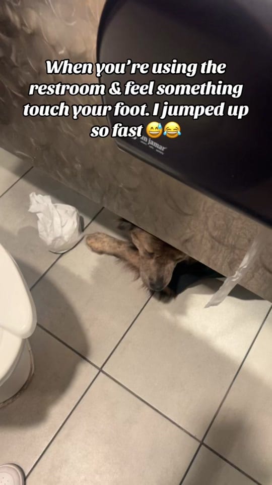 Post 1 by Diamond_619 💎 on TikTok (video)