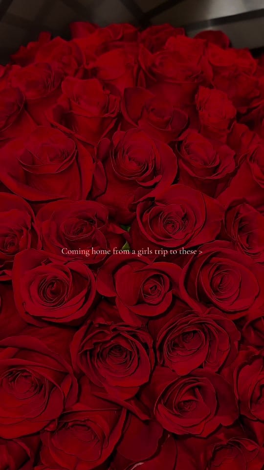 Post 5 by Bri | Lifestyle Content on TikTok (video)