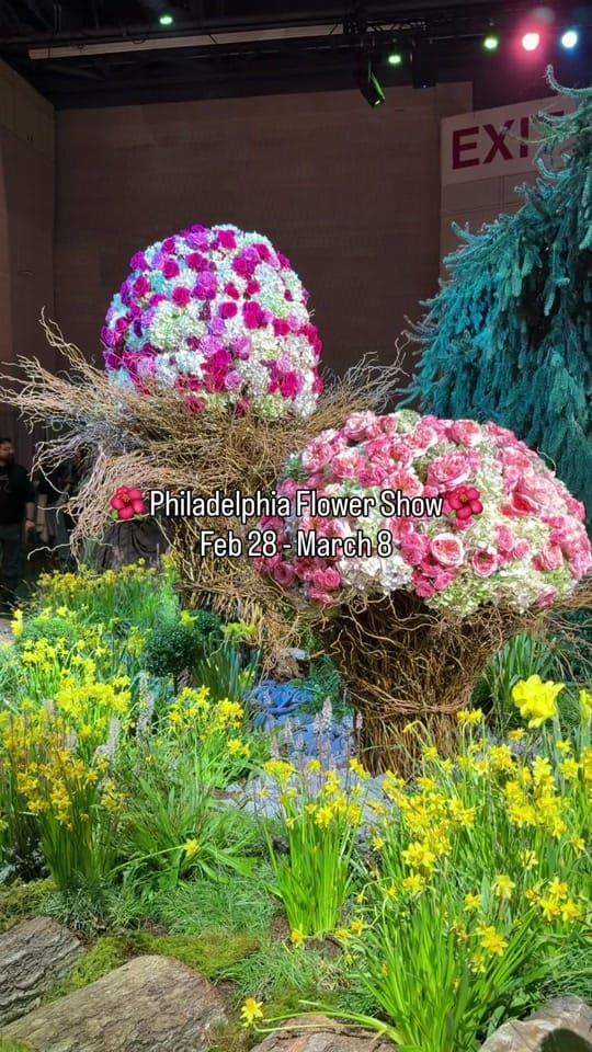 Post 2 by Taste of Philly on TikTok (video)