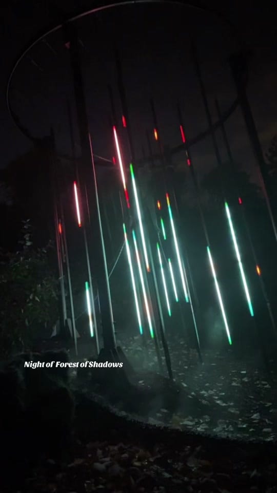 Post 2 by Itszamzam_ on TikTok (video)