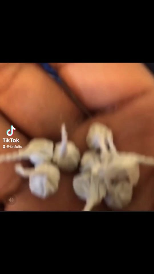 Post 8 by Fulio on TikTok (video)