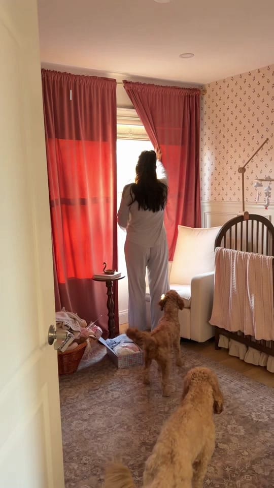 Post 3 by Liz on TikTok (video)