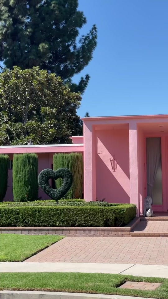 Post 6 by Jamie Nelson, Photographer on TikTok (video)