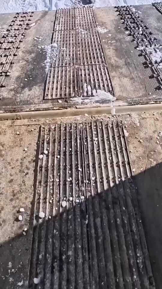 Post 1 by boondock_nation on TikTok (video)