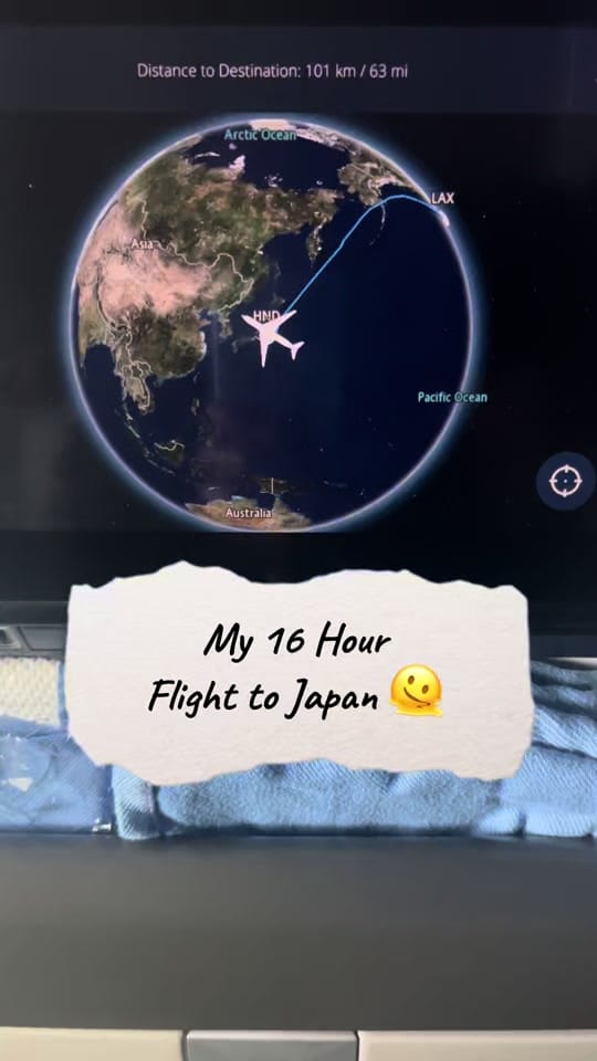 Post 8 by Adetinpo Thomas on TikTok (video)