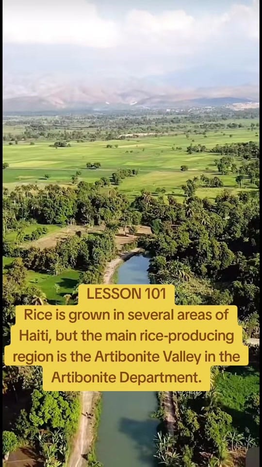 Post 4 by Haitians in San Antonio Texas on TikTok (video)