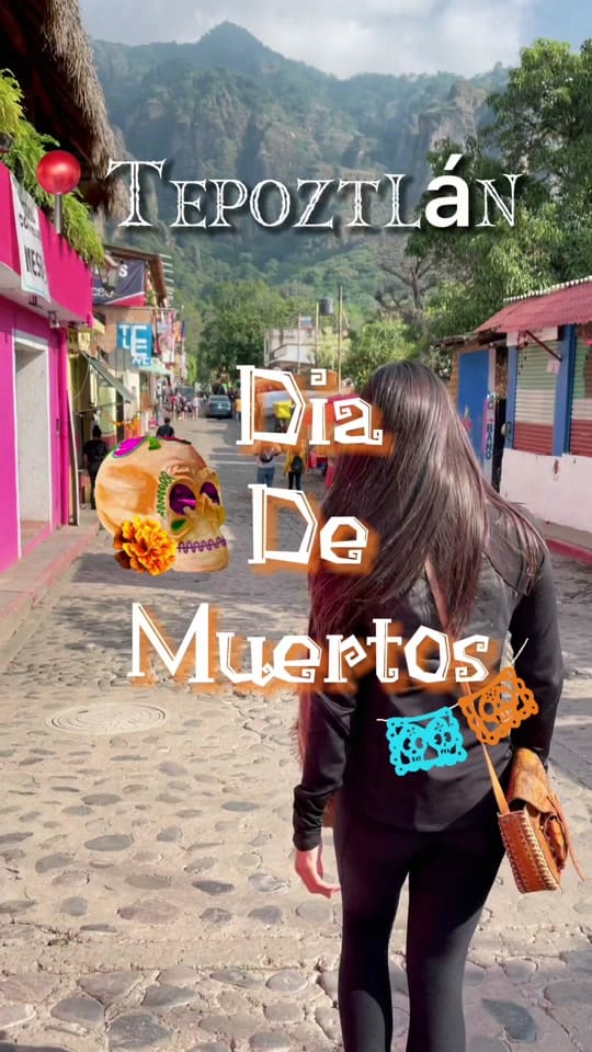 Post 8 by Diana Perez on TikTok (video)