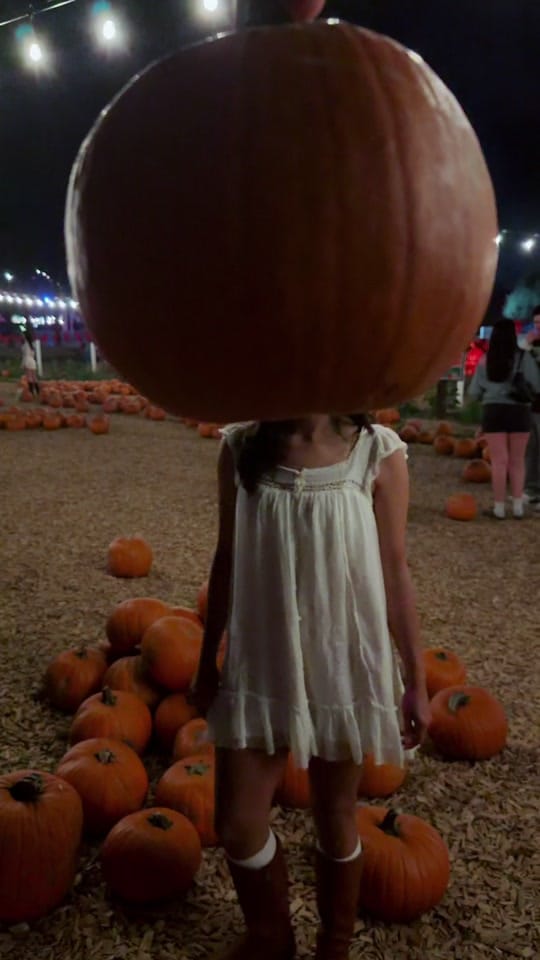 Post 2 by Diana Perez on TikTok (video)
