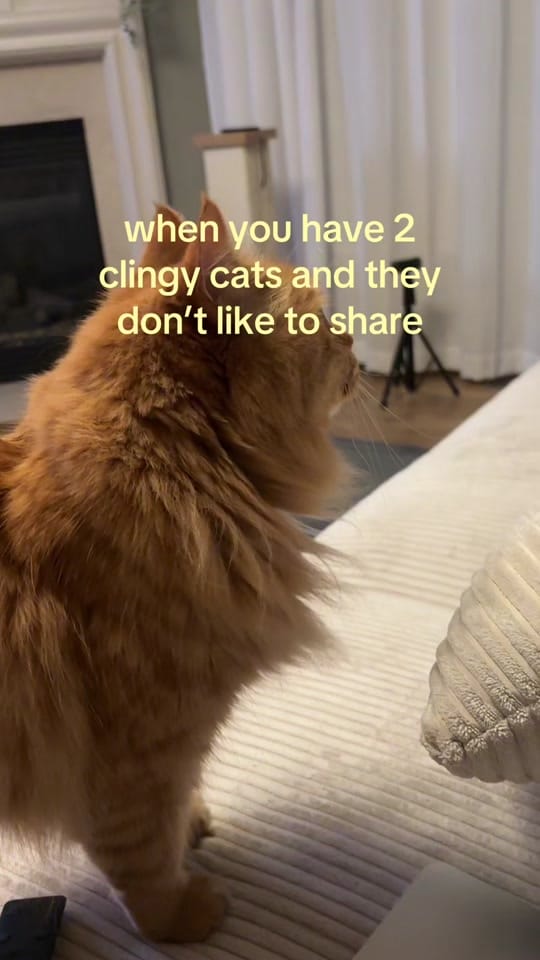 Post 6 by MADISON PEOPLES💌 | ATL on TikTok (video)