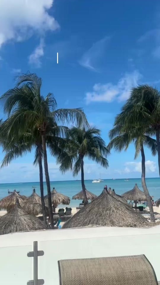 Post 9 by Janell Rose on TikTok (video)
