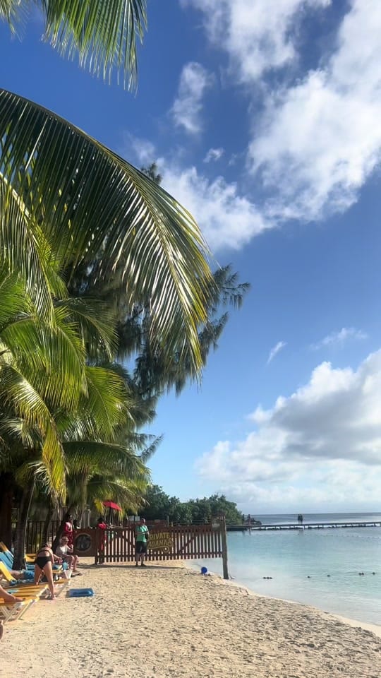Post 10 by shaydesirae on TikTok (video)