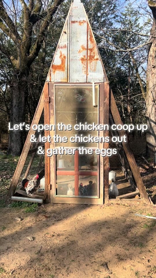 Post 1 by Kelley mae photography on TikTok (video)