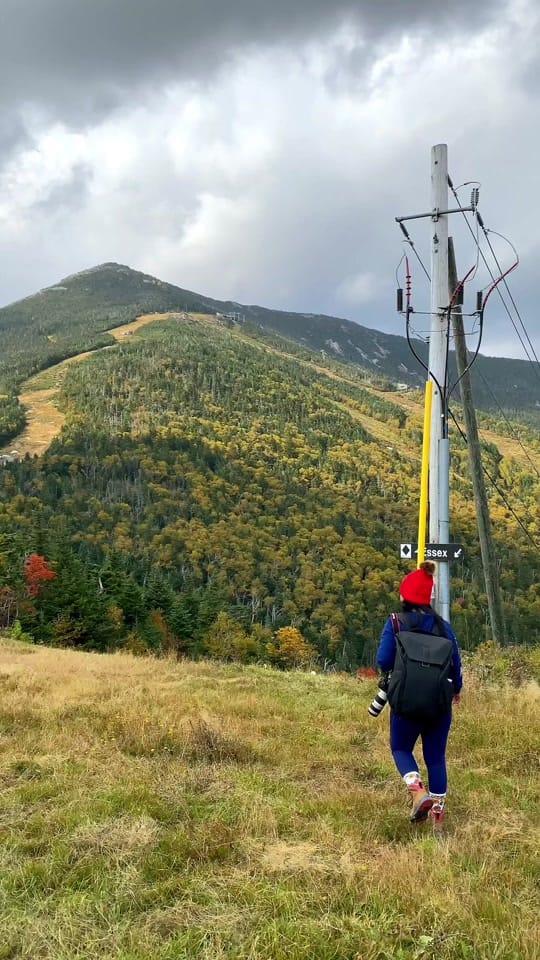 Post 7 by Love New York City on TikTok (video)