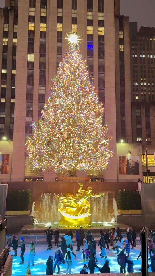 Post 2 by Love New York City on TikTok (video)