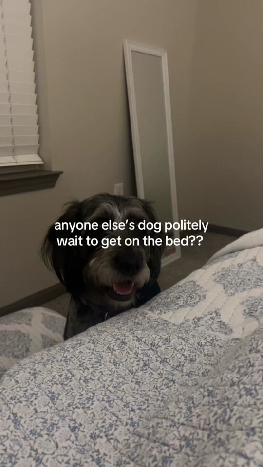Post 7 by alexa on TikTok (video)