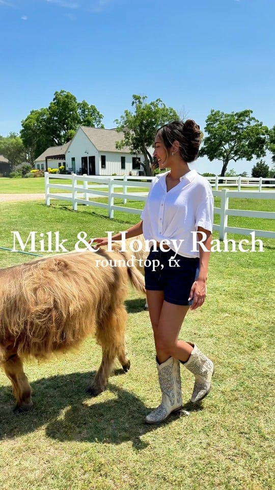 Post 8 by alisha | htx on TikTok (video)