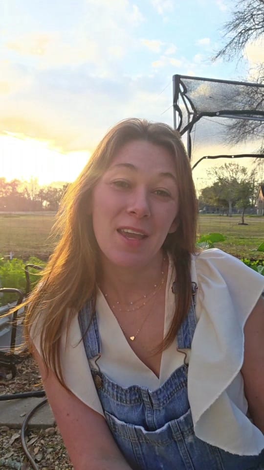 Post 4 by texasbougiegarden on TikTok (video)