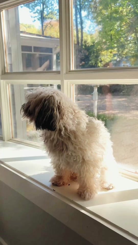 Post 6 by emmieandhercamera on TikTok (video)