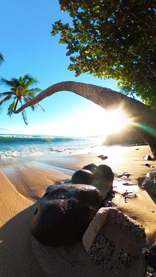 Post 10 by Nick + Madison | Travel Couple on TikTok (video)
