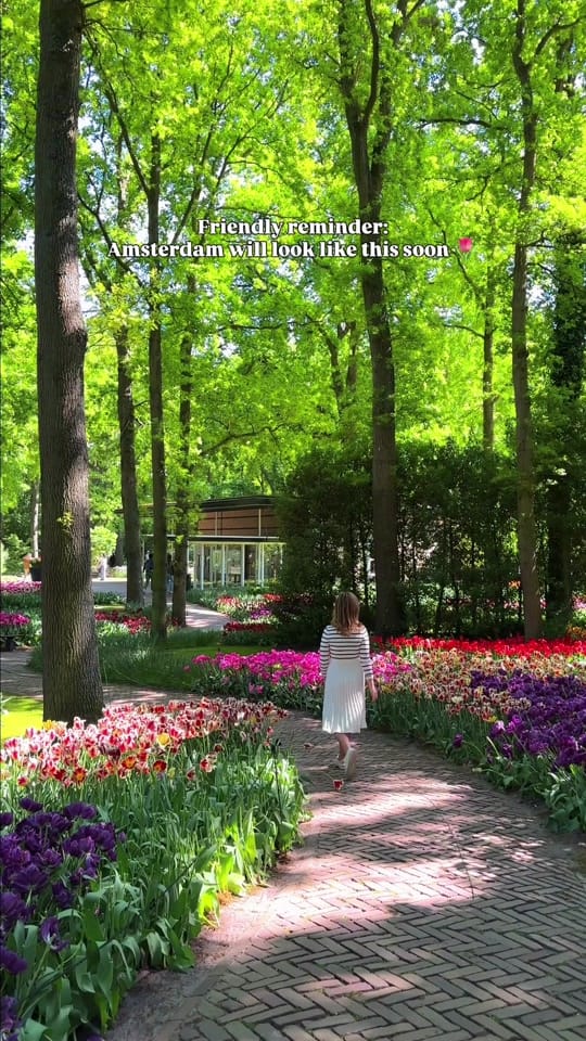 Post 2 by Nick + Madison | Travel Couple on TikTok (video)