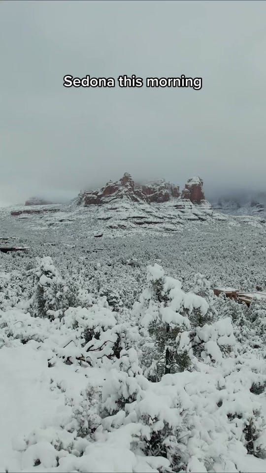 Post 9 by welcometoarizona on TikTok (video)