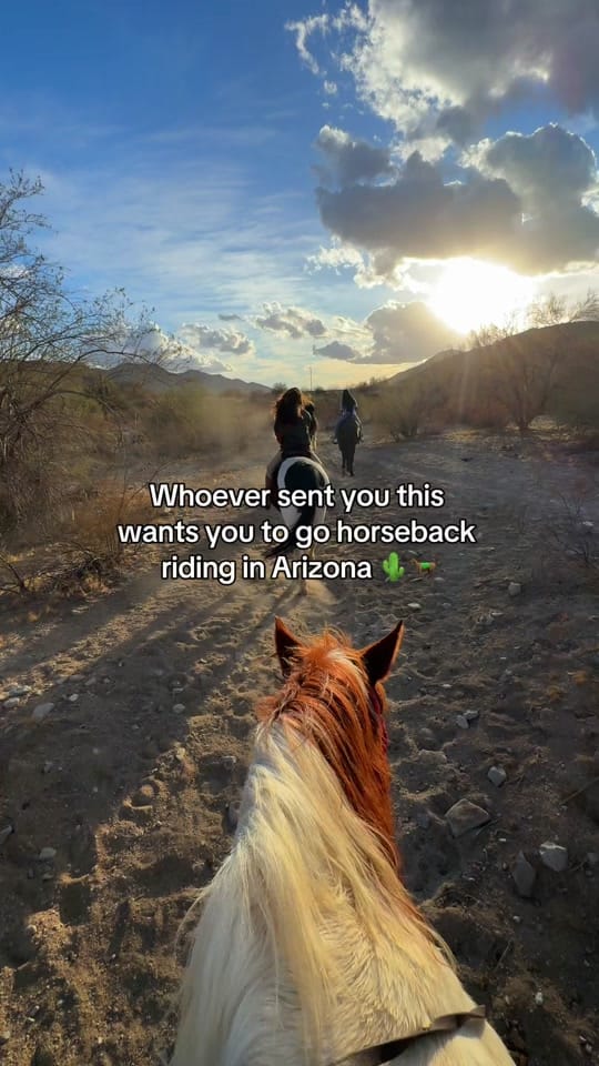 Post 5 by welcometoarizona on TikTok (video)