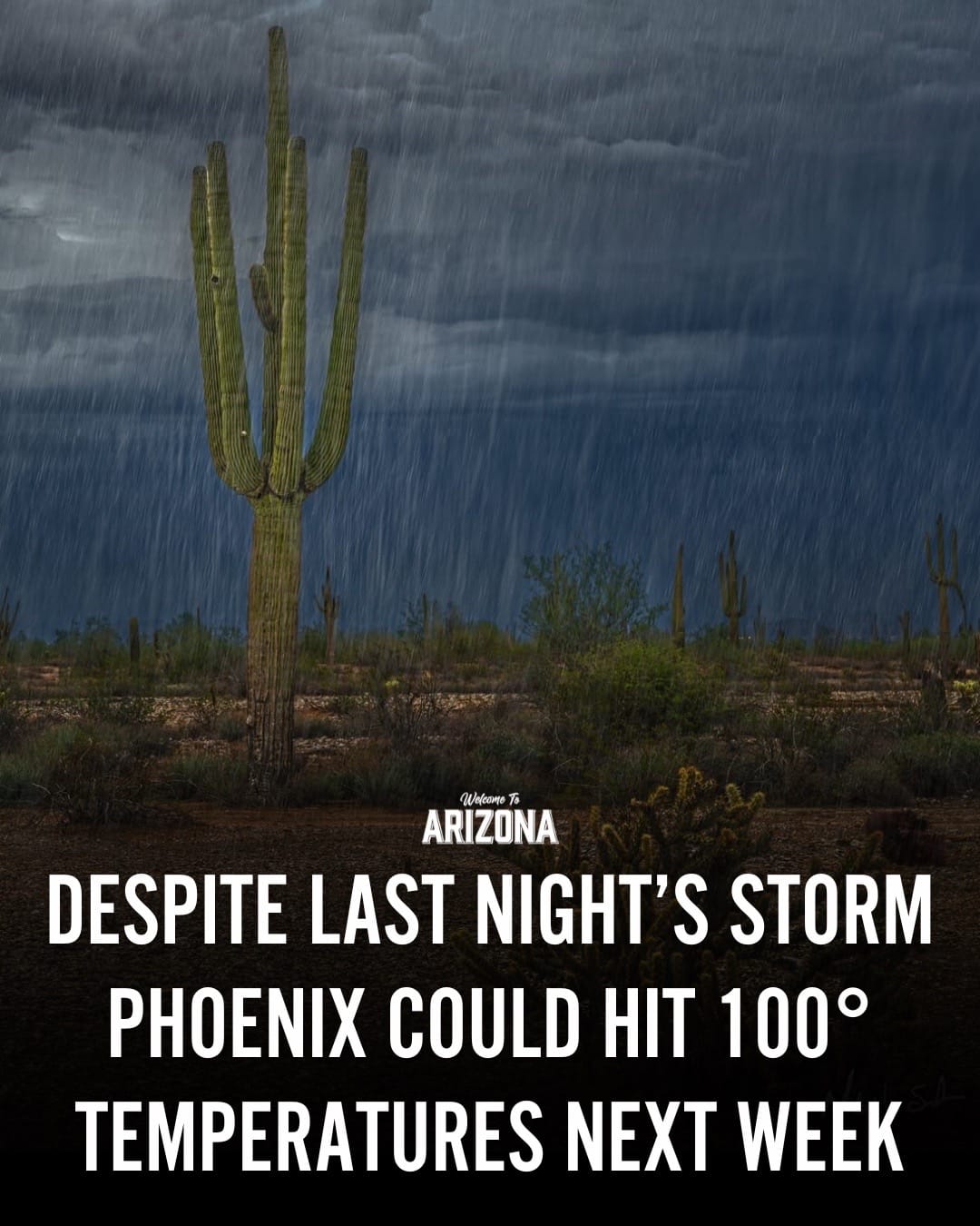 Post 3 by welcometoarizona on TikTok (video)