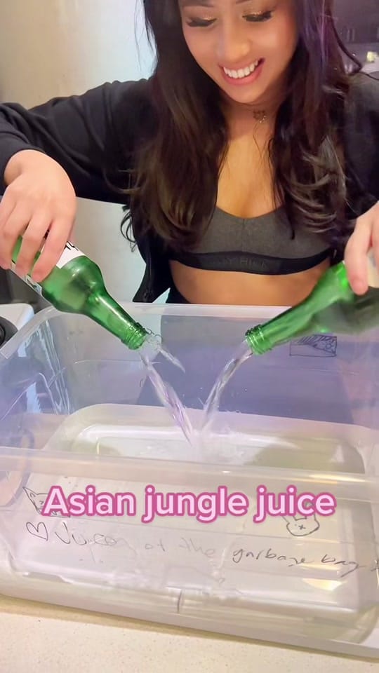 Post 10 by Ari Christine on TikTok (video)