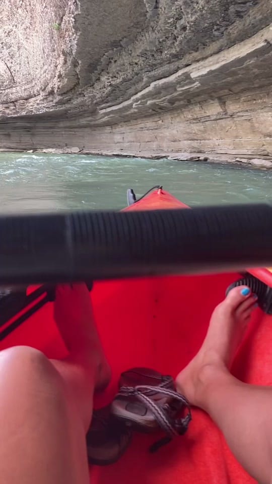 Post 10 by wildly.out.there on TikTok (video)