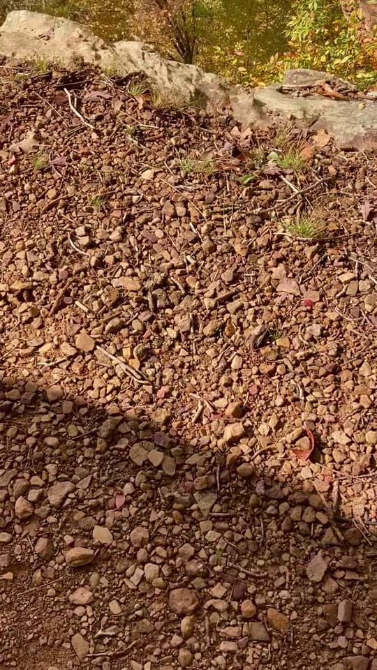Post 9 by wildly.out.there on TikTok (video)