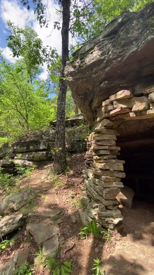 Post 8 by wildly.out.there on TikTok (video)