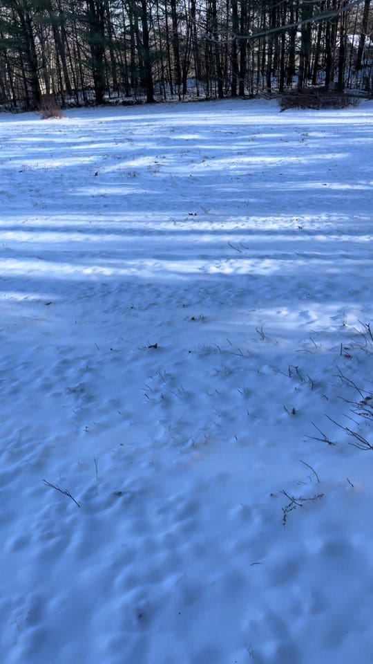 Post 3 by Tree Pearl Shop on TikTok (video)