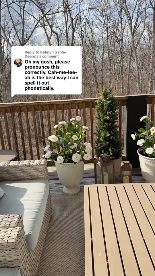 Post 4 by Ny2Nash- Kerri on TikTok (video)