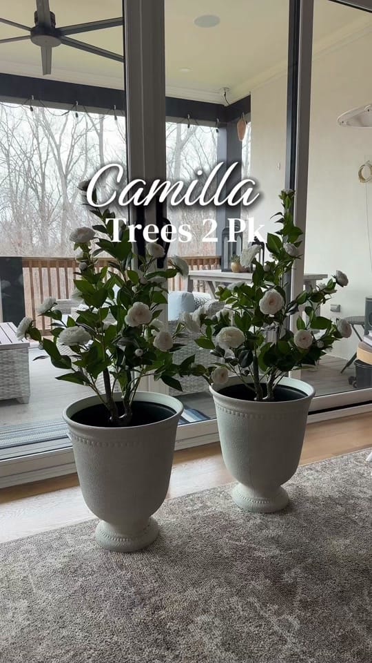 Post 9 by Ny2Nash- Kerri on TikTok (video)